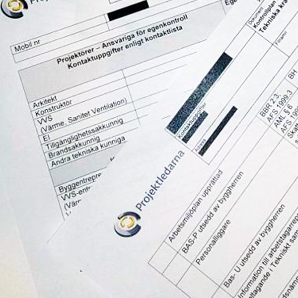 Kontroll av Projektledarna